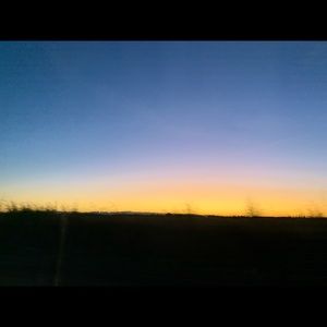 Meet your Posher, Blake